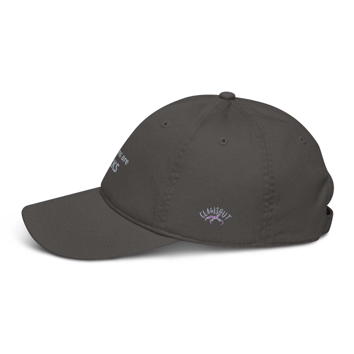 Dolphins are jerks organic dad hat- grey embroidery